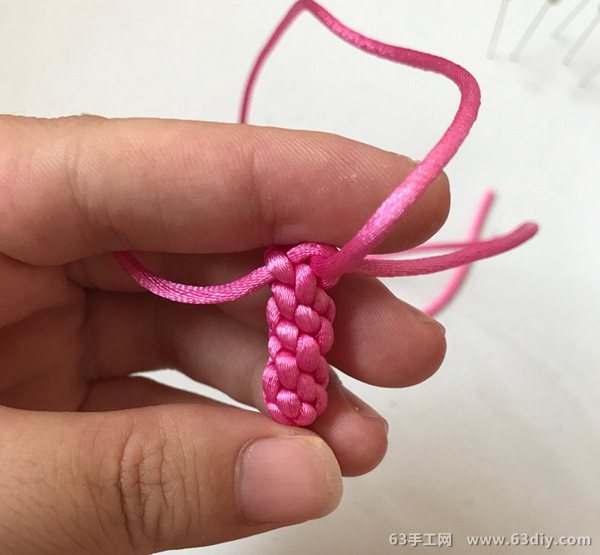 圆玉米结